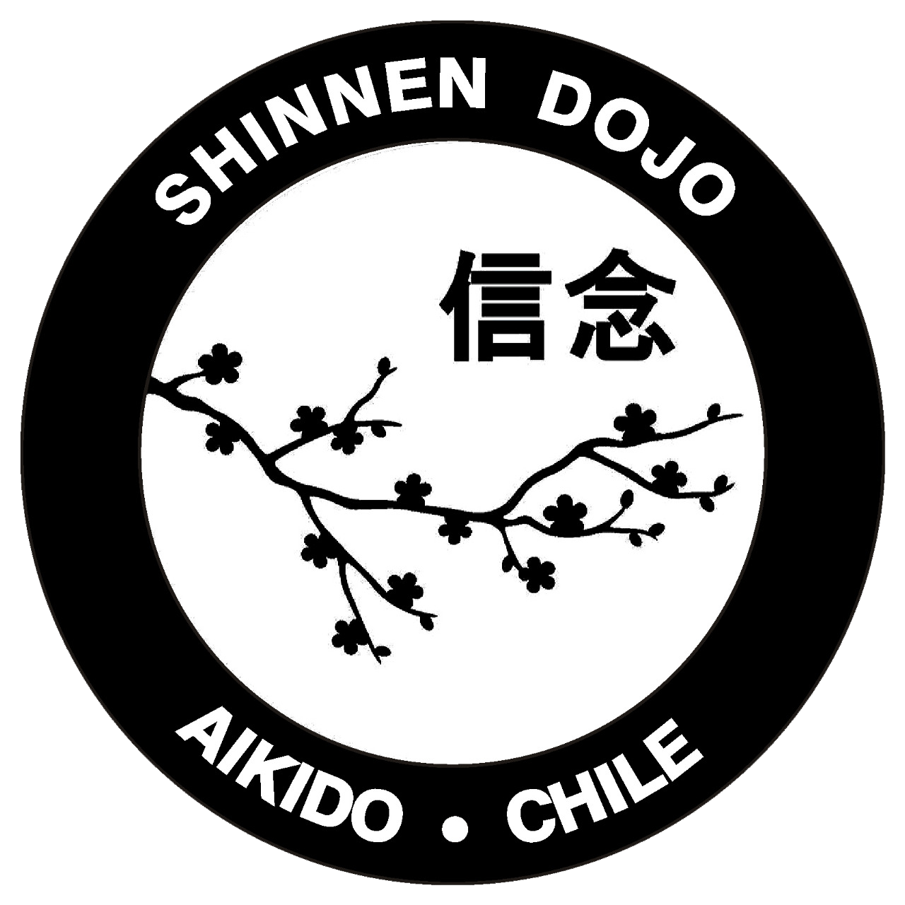 aikido shinnen Club Santa Elena de Chicureo